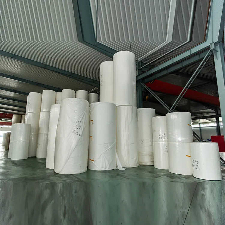 Papier hygiénique en rouleau pour mère de papier toilette, double épaisseur, rouleau jumbo de papier de toilette visage, afrique du sud
