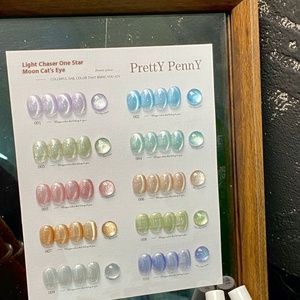 Pretty Penny 2025 Esmalte de Ojos de gato de 10 <span class=keywords><strong>colores</strong></span> de larga duración Esmalte de <span class=keywords><strong>uñas</strong></span> de gel UV Botella de fototerapia LED Embalaje para salones Nuevo Gel - Product Image 4