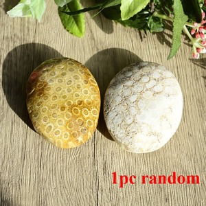 Pierre de palmier naturelle de haute qualité pour la guérison, en corail et jade, pour la décoration intérieure et les cadeaux de Noël (vente en gros) - Product Image 3