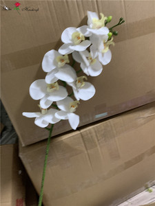 Orquídeas artificiales <span class=keywords><strong>de</strong></span> látex con 9 cabezales, orquídeas, flores decorativas, QSLH-CF093 - Product Image 4