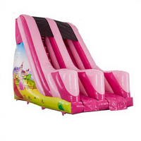 Glissière de princesse gonflable rose populaire personnalisée