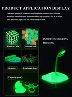 Poudre Luminescente Phosphorescente qui Brille dans le Noir pour Céramique, Résine et Verre