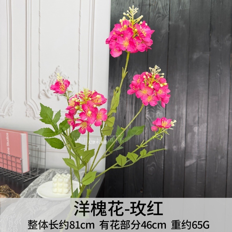 ดอกกระถิน