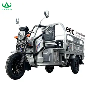 Triciclo de carga eléctrico de alta calidad, triciclo de motocicleta de tres ruedas, precio barato para adultos