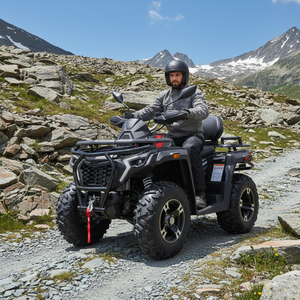 Tao Motor 2026 Nuevo Vehículo Todoterreno de <span class=keywords><strong>Dos</strong></span> Plazas con Transmisión Automática por Eje, Homologado para Carretera EEC, ATV 4x4 de 400cc para Adultos - Product Image 1