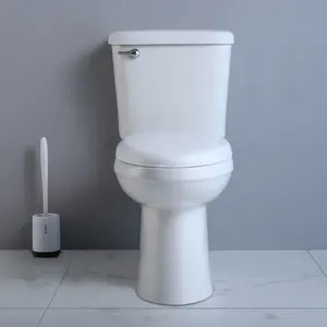 Badkamer Sanitair De Chinese Wc