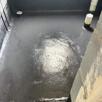 Échantillon Gratuit – Peinture Liquide Bitumineuse Moderne Non Durcie Résistante aux UV pour Étanchéité des Toitures, Murs et Sols en Carrelage ou Béton