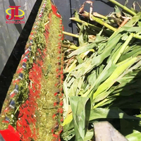 Machine à hacher les tiges de tournesol et l'herbe à éléphant approuvée CE ISO pour l'alimentation des vaches