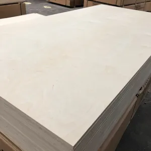 Birch Uv Plywood Cheap BB/CC Grade 15mm 16mm 18mm Full UV Painted White Birch Plywood