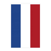 Drapeau à cordes personnalisé France 14x21cm, 20 fanions, guirlande de bannière en gros 650cm, décoration Fête de la Bastille, étanche pour extérieur