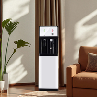 Dispensador de Agua Eléctrico Automático Independiente de Carga Superior de Plástico/Vidrio con Función de Agua Fría y Caliente para Uso Doméstico y Hotelero