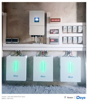 Batterie de stockage d'énergie solaire domestique Deye LiFePO4 RW-G10.6 au lithium 51.2V 208Ah 10.64kWh, montage mural ou au sol