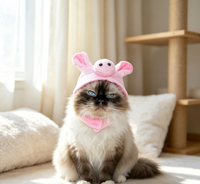 Chapeau Citrouille d'Halloween pour Animaux de Compagnie, en Peluche Douce et Polyester, Adorable Coiffe Citrouille, Accessoire de Coiffure et de Déguisement pour Petits Chiens et Chats
