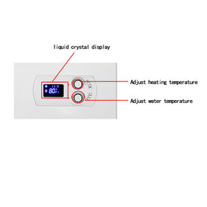 Circuit d'eau en plastique à gaz naturel 24kw <span class=keywords><strong>Caldera</strong></span> Appareils ménagers <span class=keywords><strong>Spa</strong></span> Salon Chauffage commercial - Product Image 3