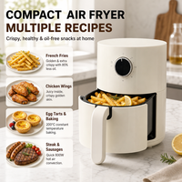Vente en gros du fabricant : Mini friteuse à air domestique 800W avec coque en plastique blanche et bouton unique, idéale pour les appartements