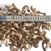 2021 Healthy Organic Food 1Kg dry stem Dried Shiitake Mushroom