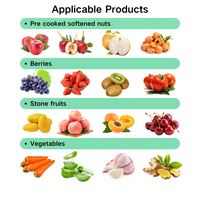 RVS commerciële fruitpers voor mango, tomaat, granaatappel, bessen en groenteverwerking