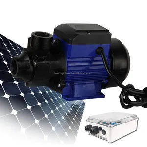 Bomba De Superficie Solar Pomp 24 V Dc Water Kit