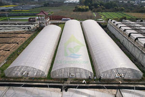 Personnalisé 500 Sqm Multi-span Hoop Film Plastique Ventilation Automatisation Grand Tunnel Légumes <span class=keywords><strong>Serre</strong></span> pour hydroponique - Product Image 5