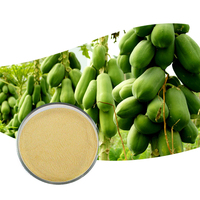 AMULYN – extrait naturel de papaye en vrac, protéine de papaïne, enzyme en poudre