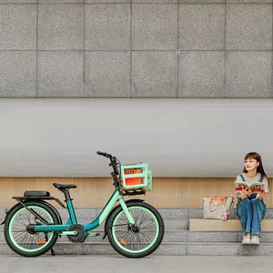 Bicicleta Eléctrica Vintage con Batería Oculta, de Una Sola Velocidad, para Desplazamientos Urbanos, Modelo Pundarika - Product Image 1