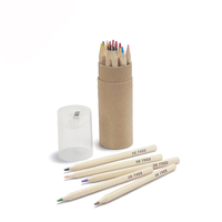 Crayons de dessin écologiques personnalisés de qualité supérieure, multi-crayons de couleur 12 couleurs, crayons de couleur pour enfants