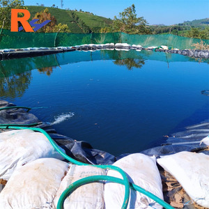 Geomembrana de 0.5mm para estanques de agua salobre, para camarones Whiteleg, Milkfish, camarones azules y tilapia del Nilo en Java Oriental/Occidental, <span class=keywords><strong>Bali</strong></span>, Indonesia - Product Image 4