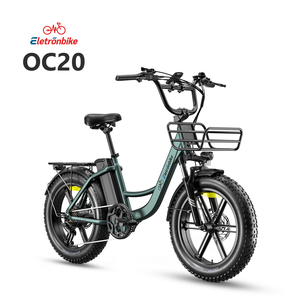 Vélo électrique de ville 20 pouces 250W 55Nm avec capteur de vitesse 48V13Ah NFC Suspension 40mm IP54 Homologué UE Pedelec - Product Image 1