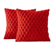 Housse de coussin carrée moderne brodée en peluche, avec noyau amovible et fermeture éclair lavable, sensation haut de gamme pour baies vitrées et salons