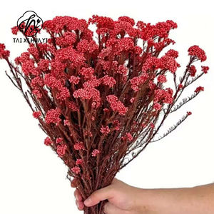 Fiore di riso conservato fiore essiccato aromaterapia Floating Flower Photography oggetti di scena fiori DIY fiore all'ingrosso natale ringraziamento - Product Image 5