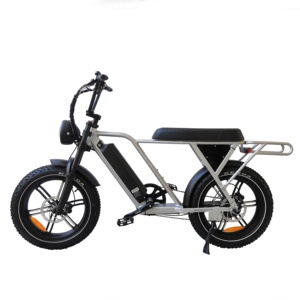 QUEENE/<span class=keywords><strong>73</strong></span> Ebike 750W Retro Chopper Fat Tire Bicicletas eléctricas Bicicleta eléctrica - Product Image 3
