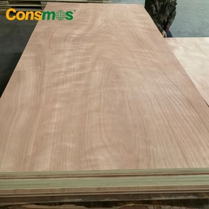 Harga rendah BB/CC kelas kayu putih inti Sapele Okoume bintperakitan Veneer kayu lapis komersial - Product Image 3