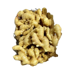 Cây trồng mới gừng tươi giá tốt nhất gừng tươi rửa sạch chất lượng tốt nhất chuyên nghiệp xuất khẩu Hữu Cơ - Product Image 2