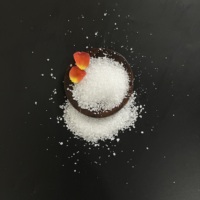 Acide citrique anhydre BANGZE CAS 77-92-9 E330 99% Min en poudre pour additif alimentaire, boisson, détergent, qualité alimentaire industrielle 25kg