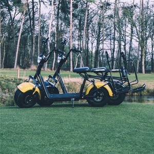Trottinette pliable de haute qualité à deux roues, double suspension, cadre en aluminium, moteur 350W, batterie au lithium 60V, charge 200kg, KS-WC01 125 Mot - Product Image 6