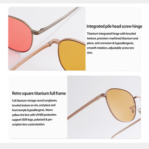 Lunettes de soleil tendance avec monture carrée ronde en titane pour hommes et femmes, verres colorés UV400, style vintage, logo personnalisé, vente en gros OEM - Product Image 6