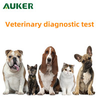 Test de grossesse sanguin pour chiens et chats pour détecter la grossesse précoce à domicile