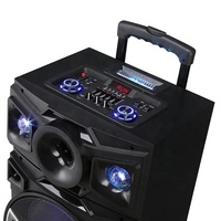 Altavoz de Karaoke Bluetooth con Micrófono, Bafle para Fiestas al Aire Libre, Altavoz de Karaoke de 12 Pulgadas con Micrófono y Bluetooth