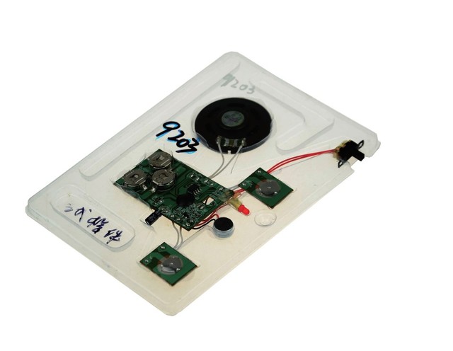 Direct Factory Sale-Press-Button Controlled Recordable Music IC PCB Sound Module for Greeting Cards Consumer Electronics