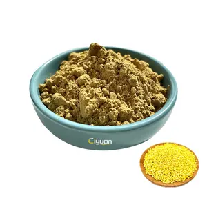 Hot Sale Pure Natural Panicum Miliaceum Millet Seed Extract Bromm Corn Millet Powder