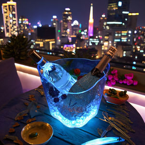 Led Lichtgevende Party Ijs Bieremmer Op Maat Gemaakte Glorifier Champagne Wodka Led Ijsemmer Fles Plastic Ijsemmer Voor Cadeautjes - Product Image 3