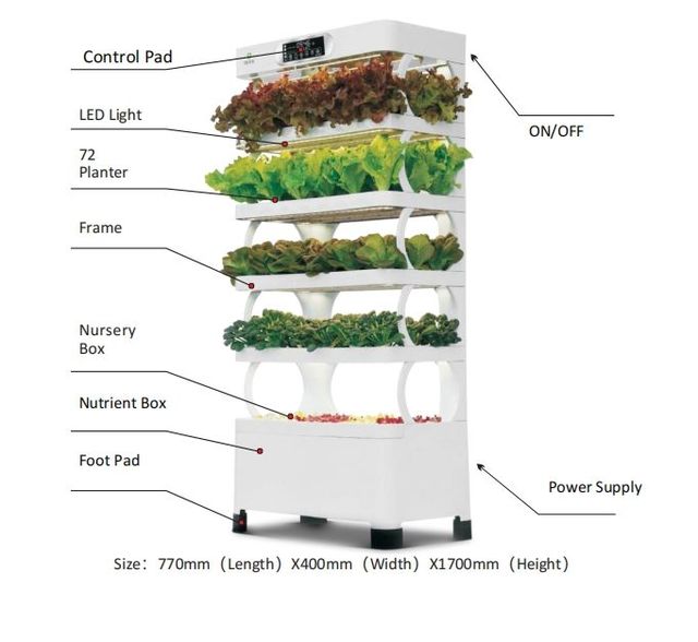 Indoor Smart Garden Hydroponic Intelligent Vegetable Cabinet Vertical Farming Home Hydroponic Growing Systems