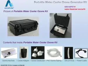 Générateur d'ozone industriel Portable 220 V avec pompe à Air et minuterie