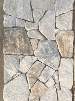 En Vrac naturel Placage de Pierre Perle Blanche Quartzite Dalle Pour Revêtement Mural