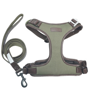 Arnés y Correa de Lujo para Perros Grandes, Color Personalizado Pantone, Hebilla Metálica Premium, Ajustable y Acolchado, Chaleco para Perro para Exteriores - Product Image 1