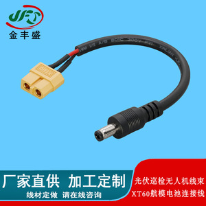 JFS Golden Peak XT60 Connection Cable 2P High Current Plug For Drones And Model Aircraft - Product Image 5