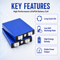 Sel Energi LiFePO4 Prismatic 30Ah 3.2V Grade A Isi Ulang 2000 Siklus untuk Paket DIY Stasiun Daya Portabel
