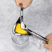 Robuuste duurzame citroenenpers van duurzaam aluminium, handmatige fruitpers, eenvoudig in gebruik, maximale sapextractie, alleen handwas.