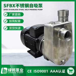 Bomba Autocebante de Acero Inoxidable 25SFBX-13 de 75 hp, Bomba Centrífuga Pequeña Resistente a la Corrosión Química para Agua Limpia - Product Image 4