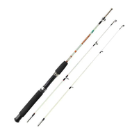 Byloo Canne à pêche spinning en fibre de verre à deux sections 1.35m 1.5m 1.65m 1.8m 2.1m 2.4m 2.7m 100-250 CW avec peinture colorée pour la pêche en surf